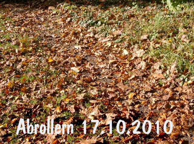Abrollern am 17. Okt. 2010