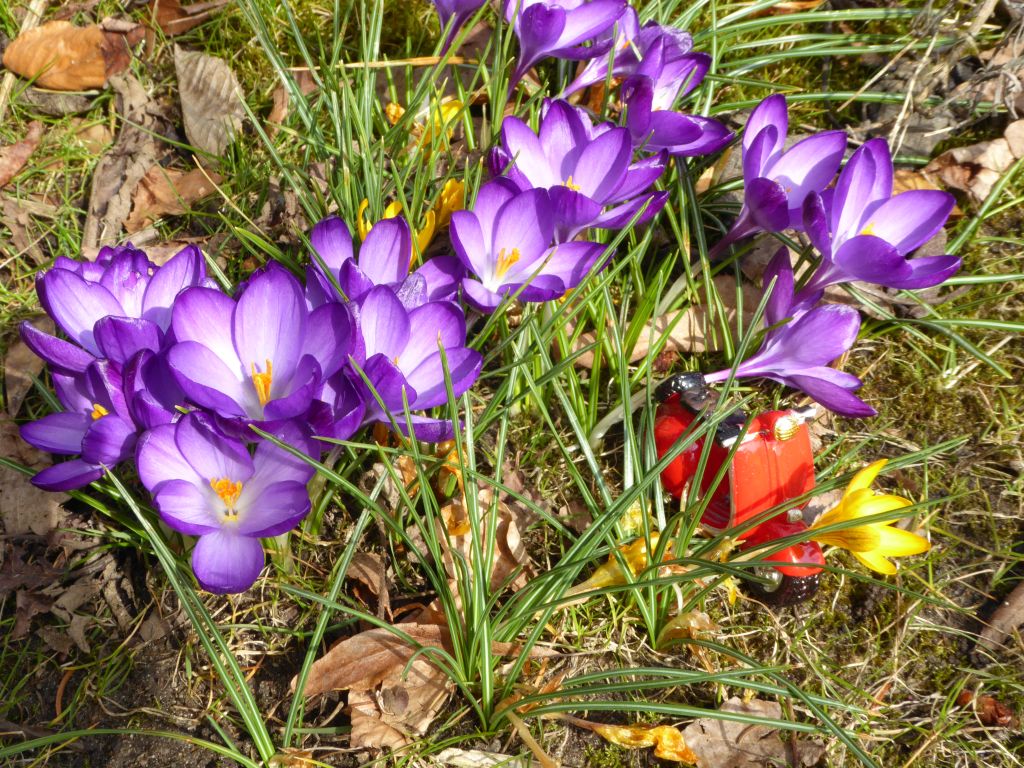 Traditionelles Ostereiersuchen am Ostermontag