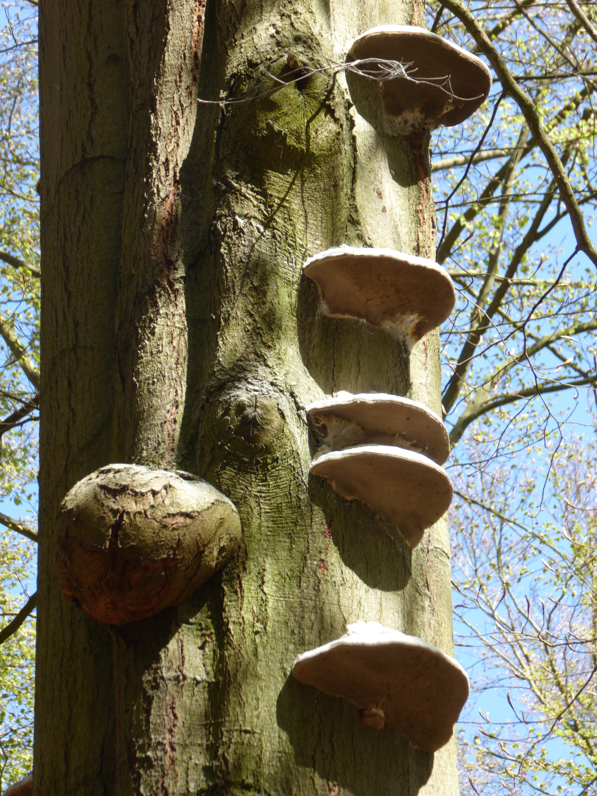 Traditionelles Ostereiersuchen am Ostermontag